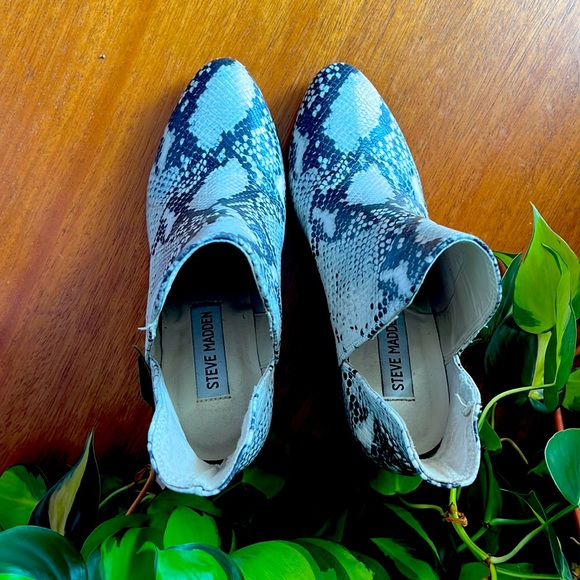 Steve Madden Snake Skin Booties - Picture 2 of 3
